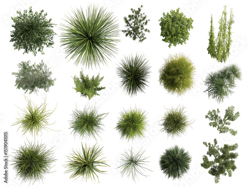Overhead View of Diverse Green Plants and Shrubs on Transparent Background, PNG