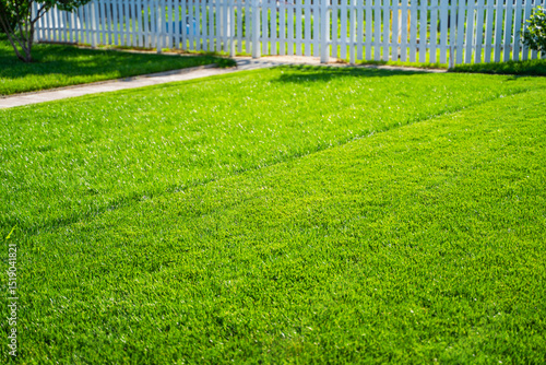 Green lawn during lawn mowing on a sunny day. Grass before and after mowing with a lawn mower