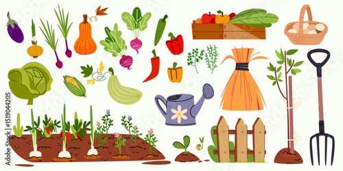 Garden farm worker tools set - colorful vegetables growing in soil, wooden crate with fresh produce, wicker basket with eggs, watering can, fence and pitchfork for cultivation. Harvest equipment.