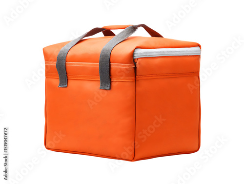 Delivery Insulated Bag png