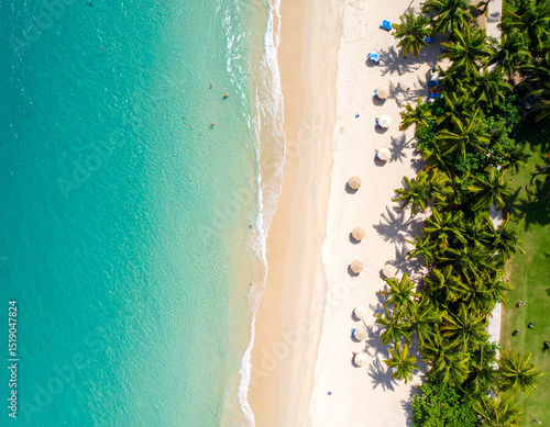 Turquoise Waters of a Tropical Paradise Beach from Aerial Drone Top View