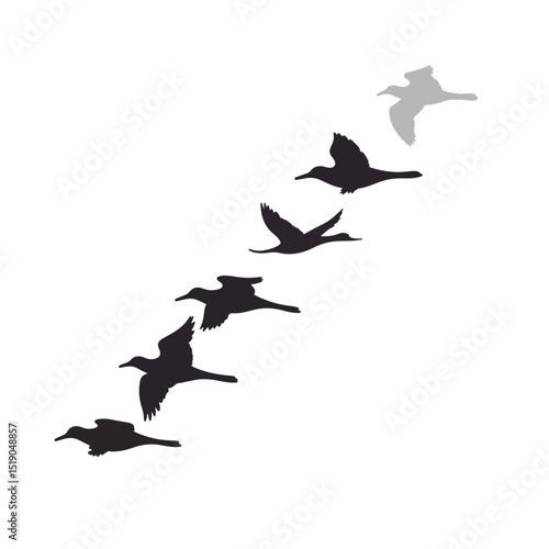 Flock of migrating birds flying in V-formation, unity in nature