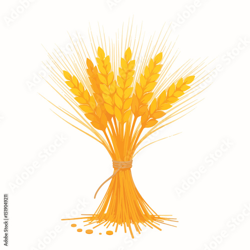 Golden wheat sheaves tied together on white background, harvest concept