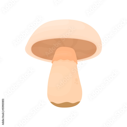 Champignon with soil on a stem. Picked mushroom. Healthy eating.
