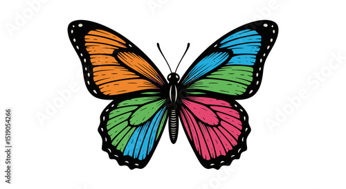 Vibrant Multicolored Butterfly with Detailed Wings