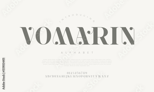 Modern display typeface featuring soft curves and artistic dots, ideal for contemporary branding and elegant design needs