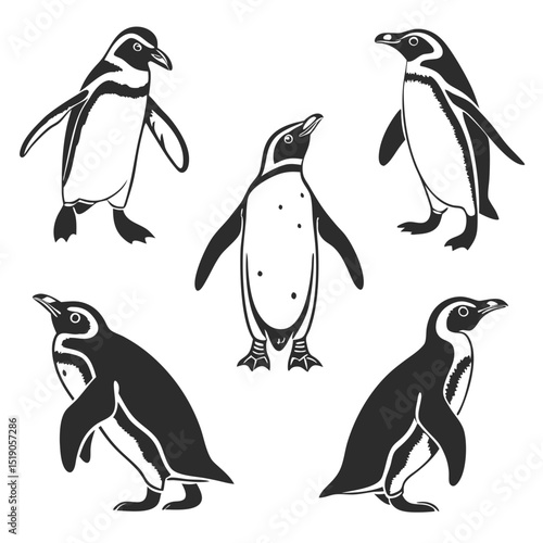 Monochrome illustration of five elegant penguins posed in various walking and standing positions