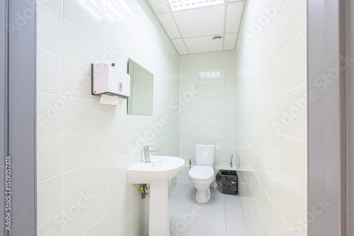 Wallpaper Mural pristine, tiled bathroom features a toilet, sink, mirror, and dispenser. The color scheme is bright and clean, dominated by white and pale green tiles Torontodigital.ca