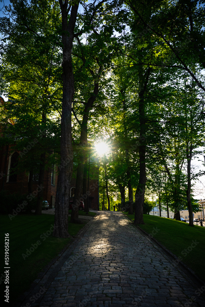 Obraz premium Historic Stone Pathway in Turku Cathedral Courtyard, Finland