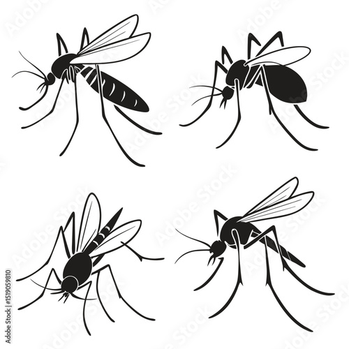 Vector illustration set of stylized black and white mosquito insects in various poses.