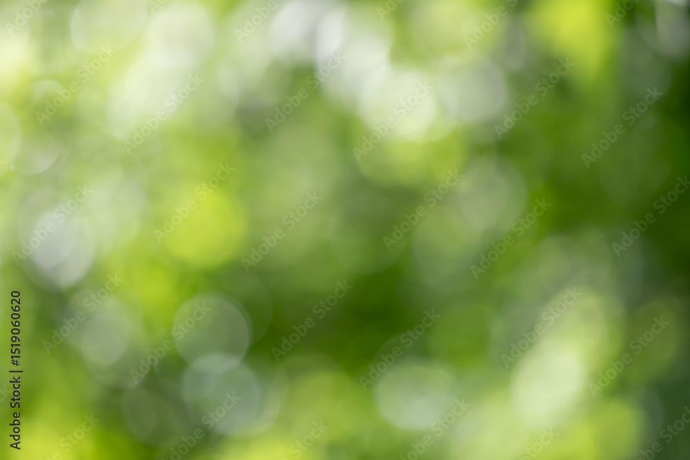 A blurry green background with a few leaves and a few other things A blurry green background with a few leaves and a few other things