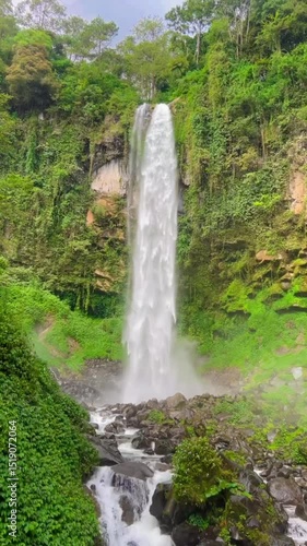 small waterfall in the forest