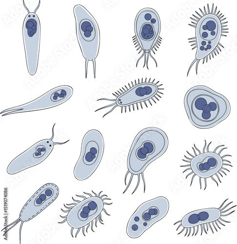 Different Types of Microscopic Protozoa Cell Illustrations