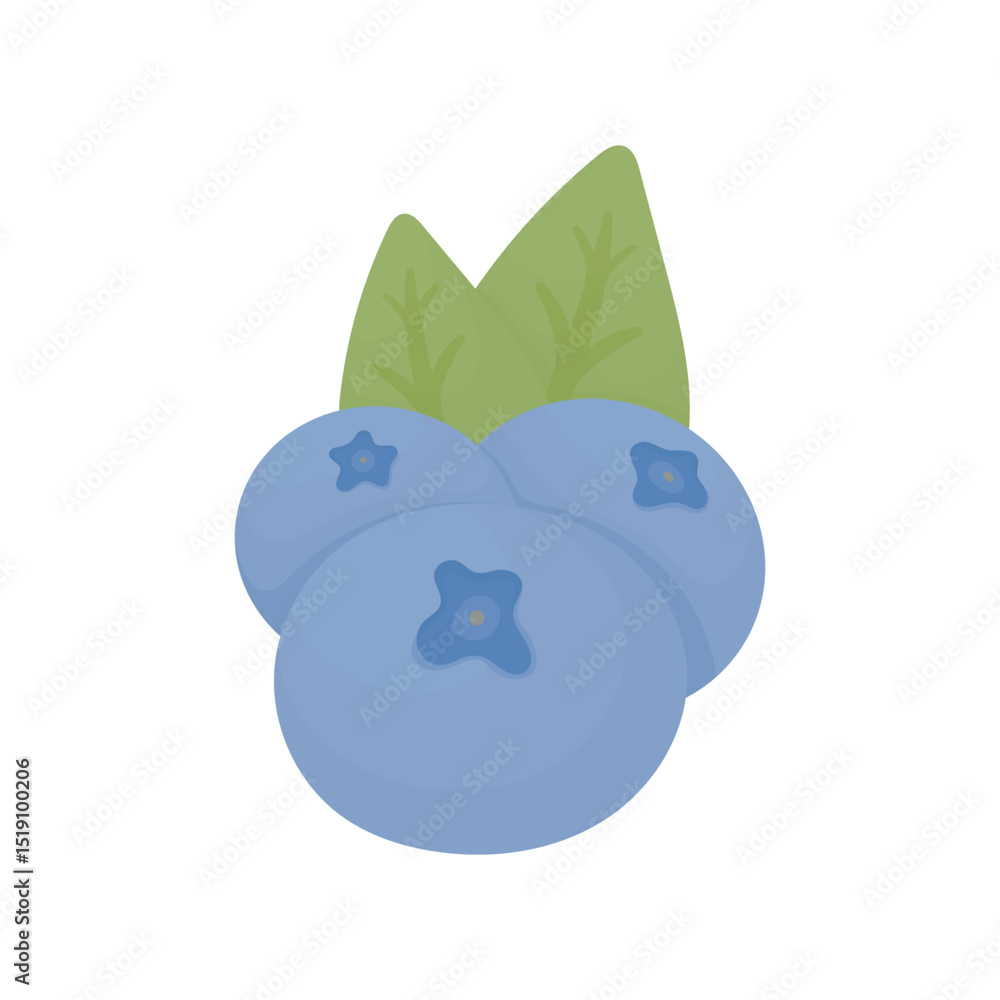 Three blueberries with two leaves. Wild berries. Three blueberries with two leaves. Wild berries.