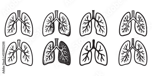 lung set vector set illustration