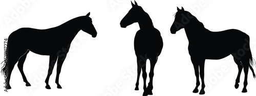 Horse Silhouette Collection – Elegant Equine Icons for Ranch, Wildlife, and Creative Design