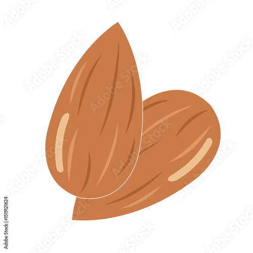 Almond icon vector, colorful almond icon vector in trendy flat style illustration isolated on white background.