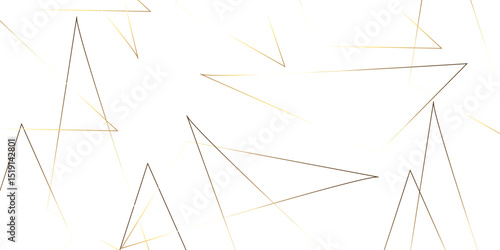 Triangular 3d, modern background Modern geometrical dynamic and seamless abstract white background. Random chaotic lines abstract geometric pattern. .graphic background dots with connections for your