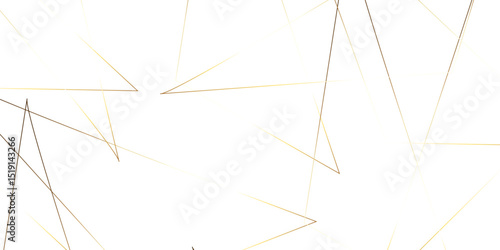 Triangular 3d, modern background Modern geometrical dynamic and seamless abstract white background. Random chaotic lines abstract geometric pattern. .graphic background dots with connections for your