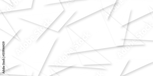 Triangular 3d, modern background Modern geometrical dynamic and seamless abstract white background. Random chaotic lines abstract geometric pattern. .graphic background dots with connections for your