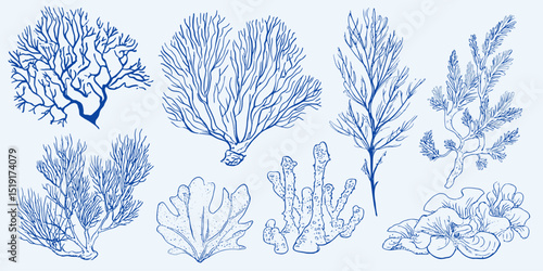 Blue Ocean Coral Reef Hand Drawn Illustrations Clipart Collection