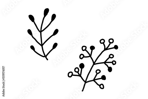 北欧風の植物ラインアートセット　黒