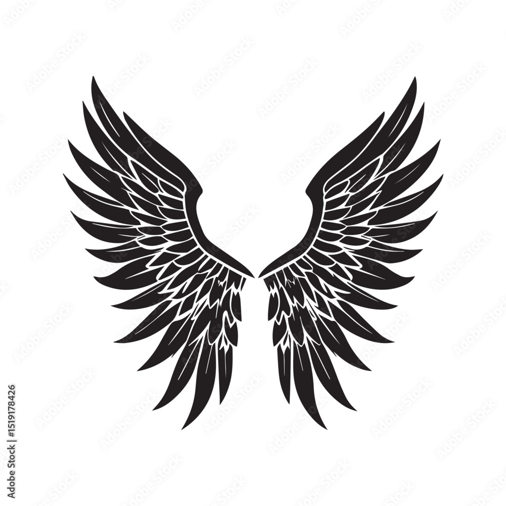 Obraz premium Angel Wings 