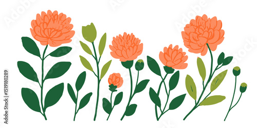 Collection of Peach-Colored Flower Blossoms Garden Plant Illustrations