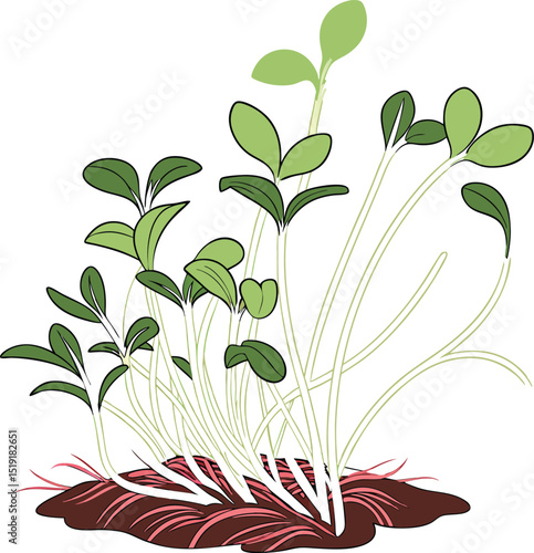 Vibrant Seedlings in Soil: Close-up depiction of delicate seedlings emerging from fertile soil, representing growth and new beginnings. The fresh green leaves provide a sense of renewal and hope.