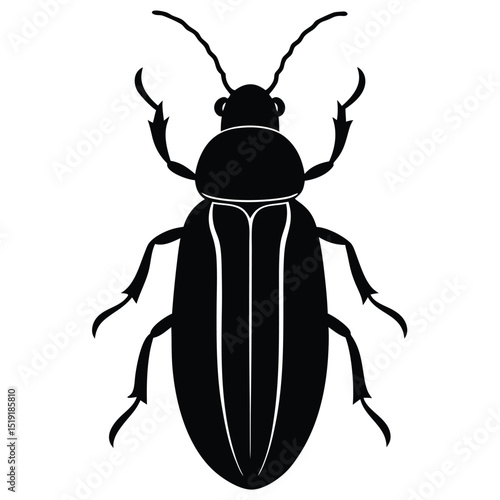 A black beetle silhouette illustration viewed from above on a simple background