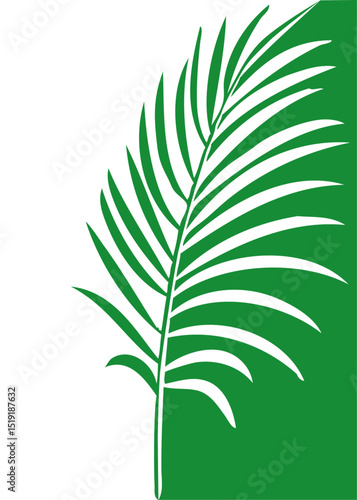 Banner con silueta de hoja de palma dividida por la mitad 