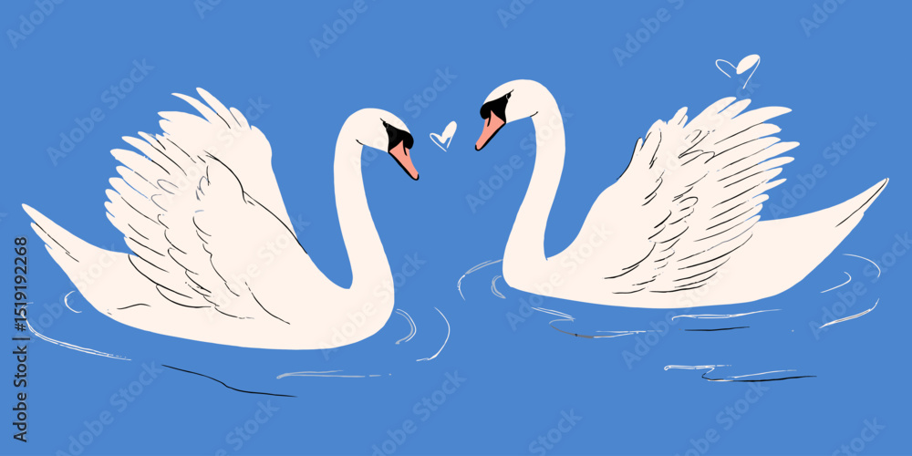 Elegant Swans on Calm Water A Pair of Graceful Birds Elegant Swans on Calm Water A Pair of Graceful Birds