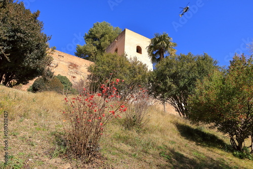 around the historic Alhambra palace in Granada, Andalusia, Spain