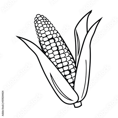 Corn Vector Simple  and Elegant Illustration of Harvested Grain 