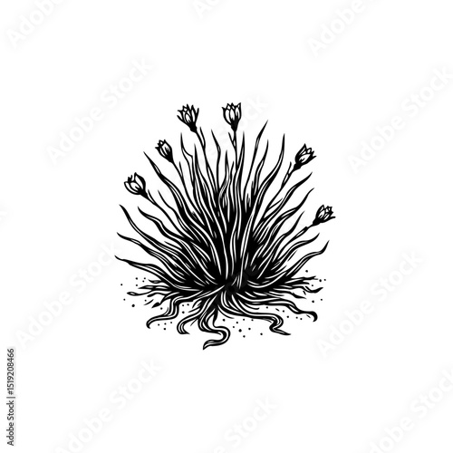 Detailed botanical illustration of a flowering plant in black and white design