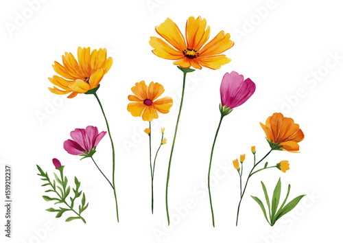 Watercolor Wildflower Bouquet Illustration