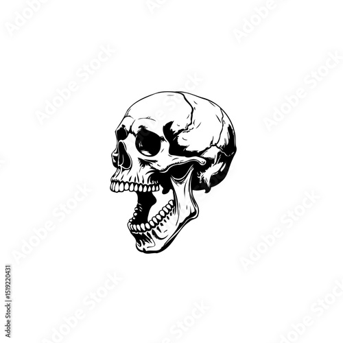 Detailed Skull Illustration in Black and White, perfect for edgy design projects