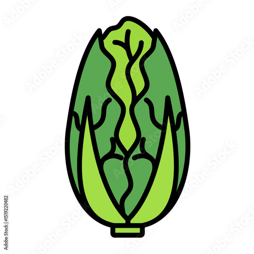 napa cabbage icon	