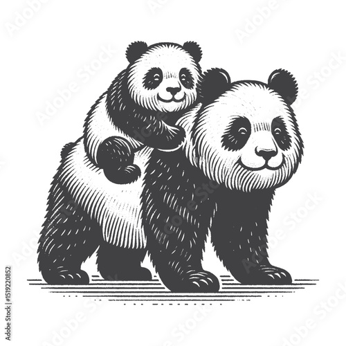 Vintage Hand-Drawn Giant Panda Baby Riding On Parent’s Back Illustration, Wildlife Animal Engraved Style Vector for T-Shirts and Family Nature Themes Design