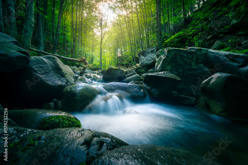Waterfall and stream inside the forest. Abetone, Apennines, Tuscany, Italy