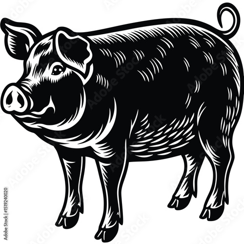 Pink Pig Silhouette on White Background
