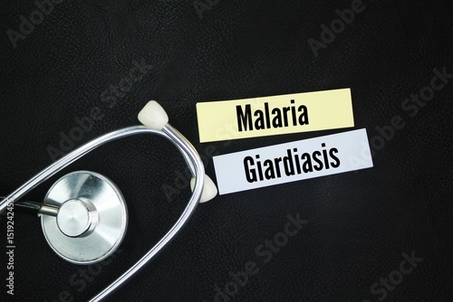 Stethoscope and colored paper with the words Two common diseases caused by protozoa are malaria and giardiasis.