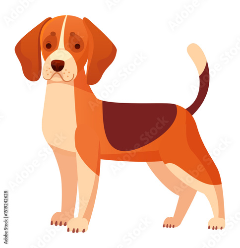 Adorable beagle dog standing on four paws with its tail up, showcasing its characteristic tri color coat and gentle expression, a perfect representation of this friendly and playful breed
