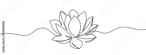Continuous line, lotus blossom, hand drawn line Line Art Vector Transparent Background Edit Stroke.