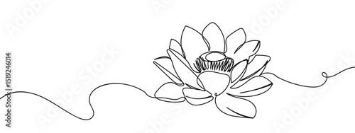 Continuous line, lotus blossom, hand drawn line Line Art Vector Transparent Background Edit Stroke.