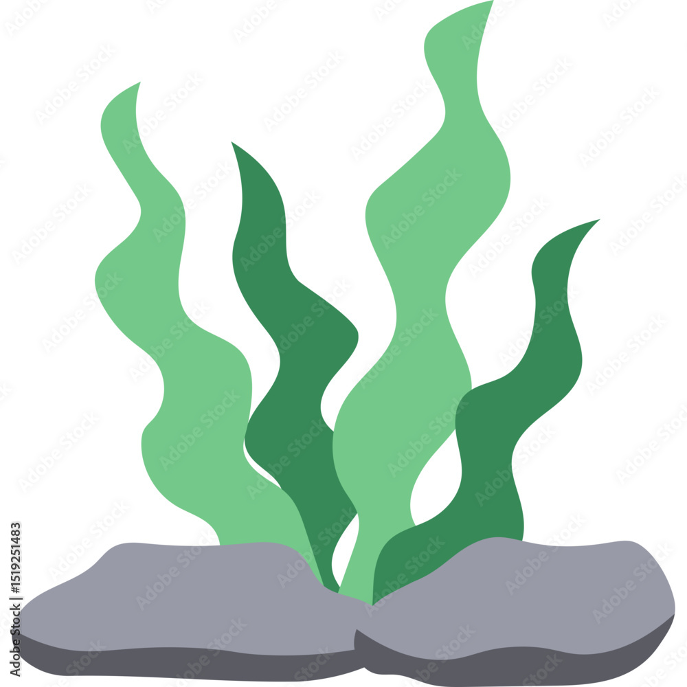 Seaweed Illustration Seaweed Illustration