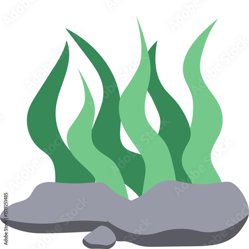 Seaweed Illustration
