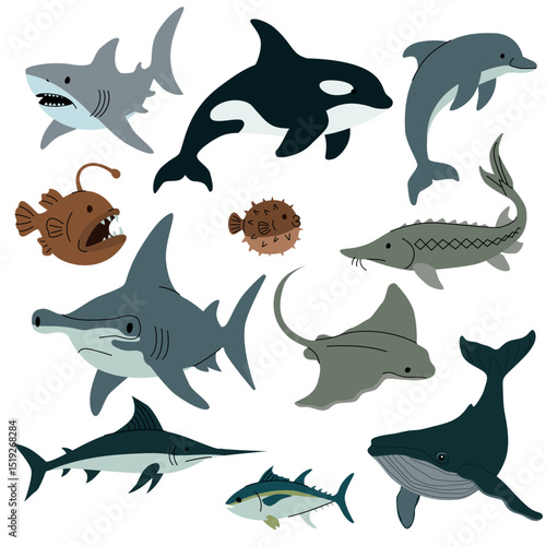 Flat vector illustration of various sea animals including sharks, dolphins, whales, stingray, swordfish, pufferfish, and anglerfish on white background. Vector illustration