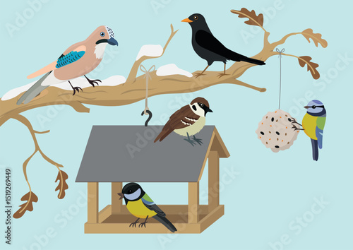 Wooden bird feeder with wild birds in winter. Vector cartoon illustration for kids.