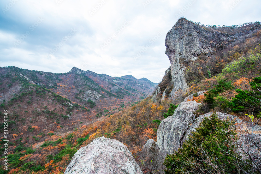 Fototapeta premium 바위산 사이사이에 여러가지 색의 단풍.